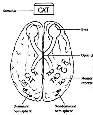 Fig 10