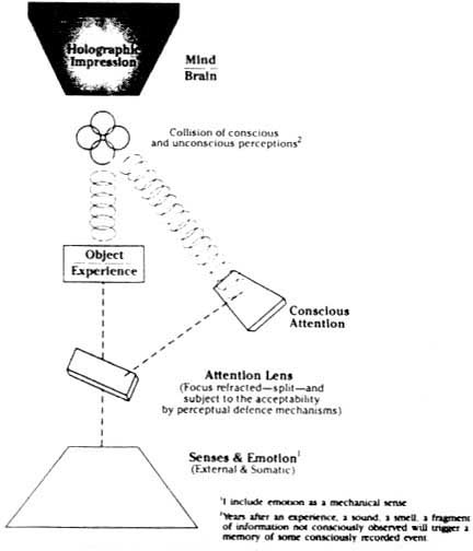 Fig 7