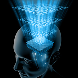 Brain Thinking